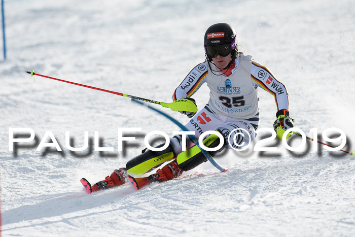 Int. FIS Rennen + NJC  AC Damen, FIS SG, Götschen, 01.02.2019