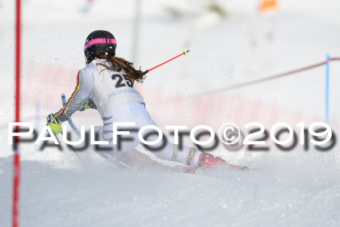 Int. FIS Rennen + NJC  AC Damen, FIS SG, Götschen, 01.02.2019