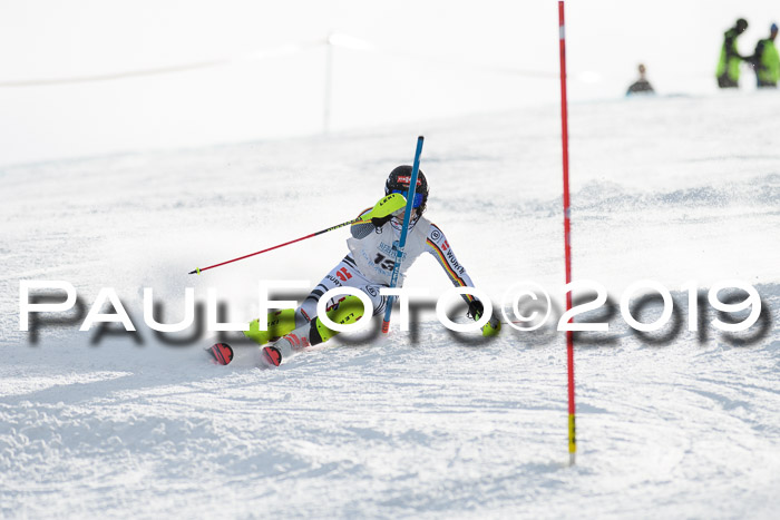 Int. FIS Rennen + NJC  AC Damen, FIS SG, Götschen, 01.02.2019