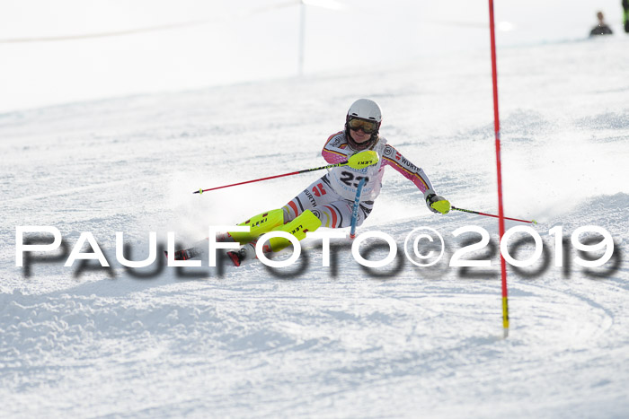 Int. FIS Rennen + NJC  AC Damen, FIS SG, Götschen, 01.02.2019