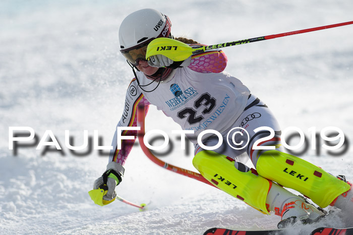 Int. FIS Rennen + NJC  AC Damen, FIS SG, Götschen, 01.02.2019