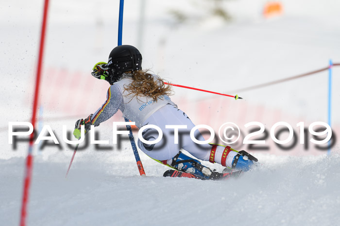 Int. FIS Rennen + NJC  AC Damen, FIS SG, Götschen, 01.02.2019