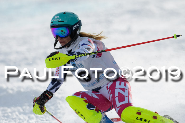 Int. FIS Rennen + NJC  AC Damen, FIS SG, Götschen, 01.02.2019