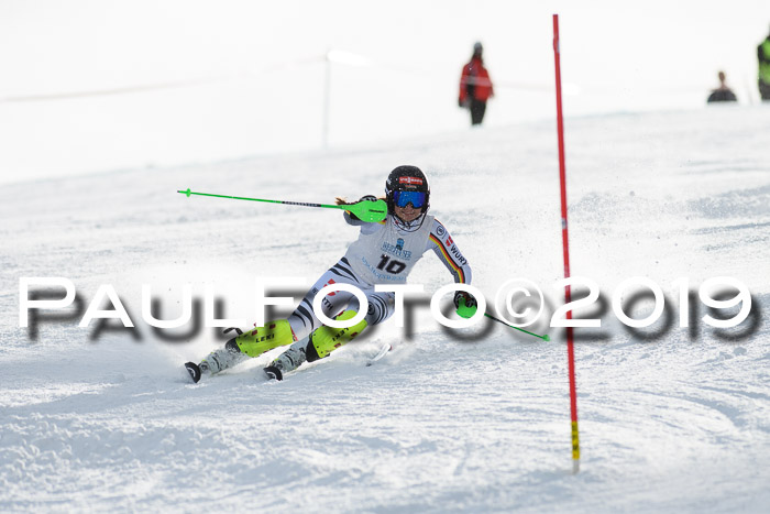 Int. FIS Rennen + NJC  AC Damen, FIS SG, Götschen, 01.02.2019