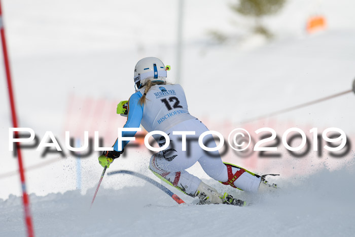 Int. FIS Rennen + NJC  AC Damen, FIS SG, Götschen, 01.02.2019