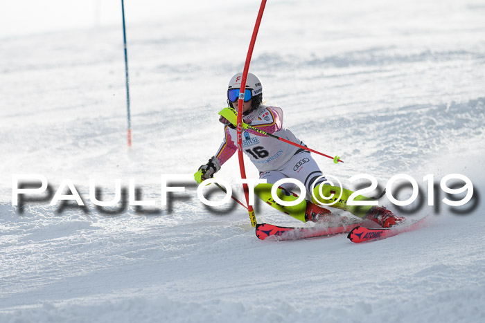 Int. FIS Rennen + NJC  AC Damen, FIS SG, Götschen, 01.02.2019