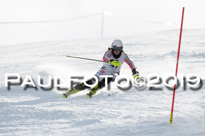 Int. FIS Rennen + NJC  AC Damen, FIS SG, Götschen, 01.02.2019