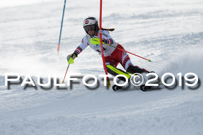 Int. FIS Rennen + NJC  AC Damen, FIS SG, Götschen, 01.02.2019