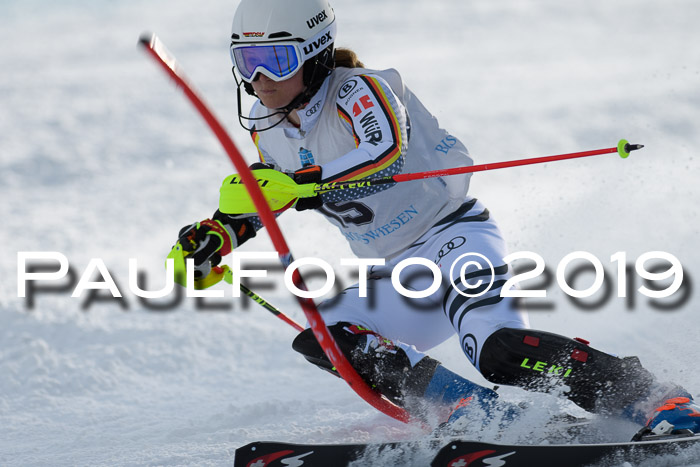 Int. FIS Rennen + NJC  AC Damen, FIS SG, Götschen, 01.02.2019