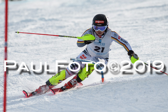 Int. FIS Rennen + NJC  AC Damen, FIS SG, Götschen, 01.02.2019