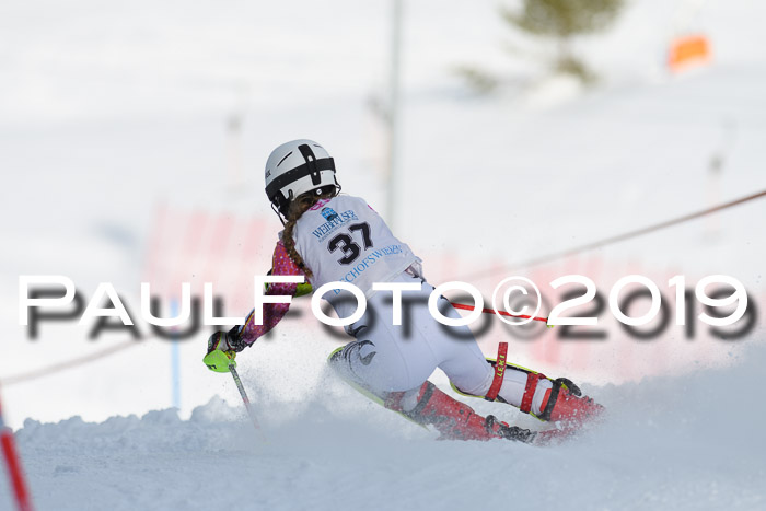 Int. FIS Rennen + NJC  AC Damen, FIS SG, Götschen, 01.02.2019