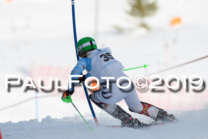 Int. FIS Rennen + NJC  AC Damen, FIS SG, Götschen, 01.02.2019