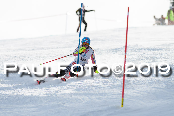 Int. FIS Rennen + NJC  AC Damen, FIS SG, Götschen, 01.02.2019