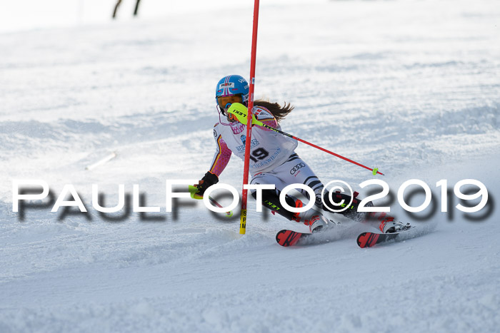 Int. FIS Rennen + NJC  AC Damen, FIS SG, Götschen, 01.02.2019