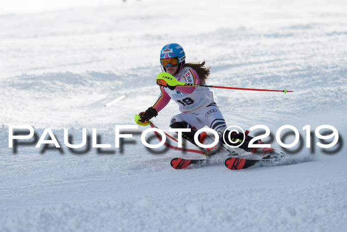 Int. FIS Rennen + NJC  AC Damen, FIS SG, Götschen, 01.02.2019