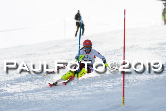 Int. FIS Rennen + NJC  AC Damen, FIS SG, Götschen, 01.02.2019