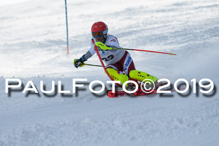 Int. FIS Rennen + NJC  AC Damen, FIS SG, Götschen, 01.02.2019