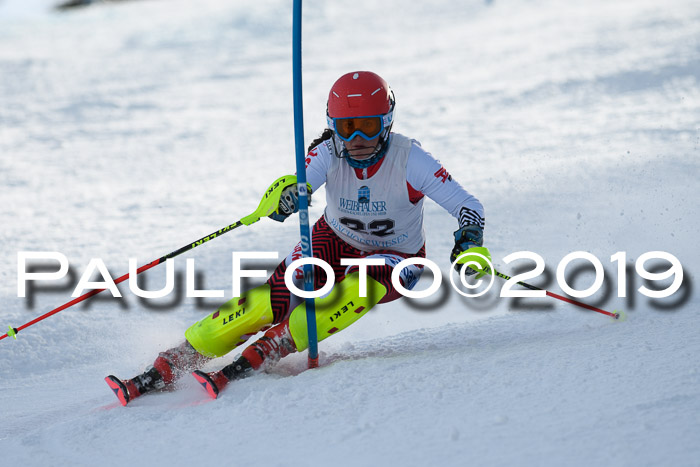 Int. FIS Rennen + NJC  AC Damen, FIS SG, Götschen, 01.02.2019