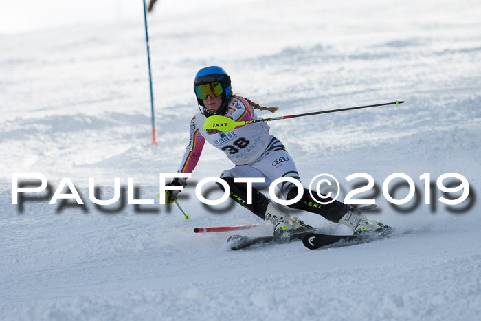 Int. FIS Rennen + NJC  AC Damen, FIS SG, Götschen, 01.02.2019