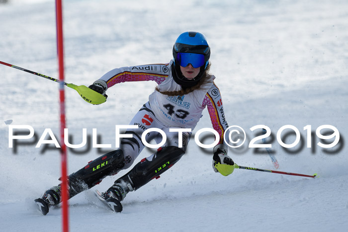 Int. FIS Rennen + NJC  AC Damen, FIS SG, Götschen, 01.02.2019