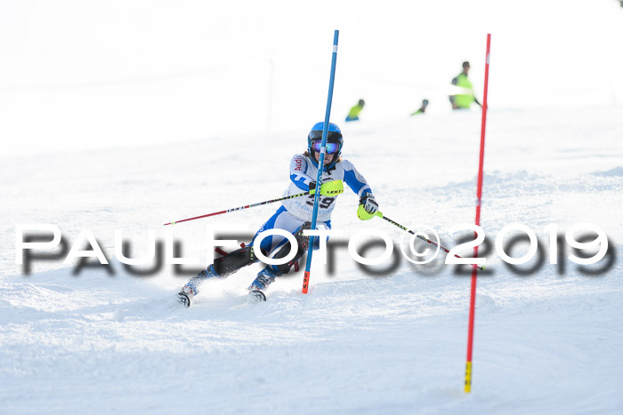 Int. FIS Rennen + NJC  AC Damen, FIS SG, Götschen, 01.02.2019