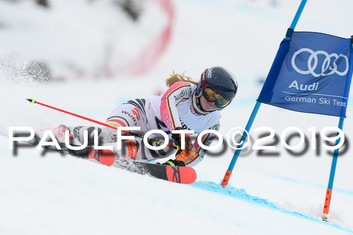 FIS + NJC Riesenslalom Damen + Herren 02.02.2019