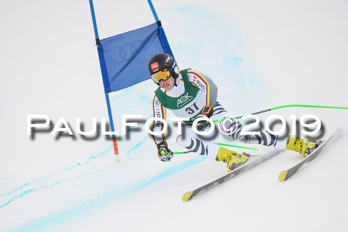 NJC + FIS, Super-G, Herren, 06.02.2019