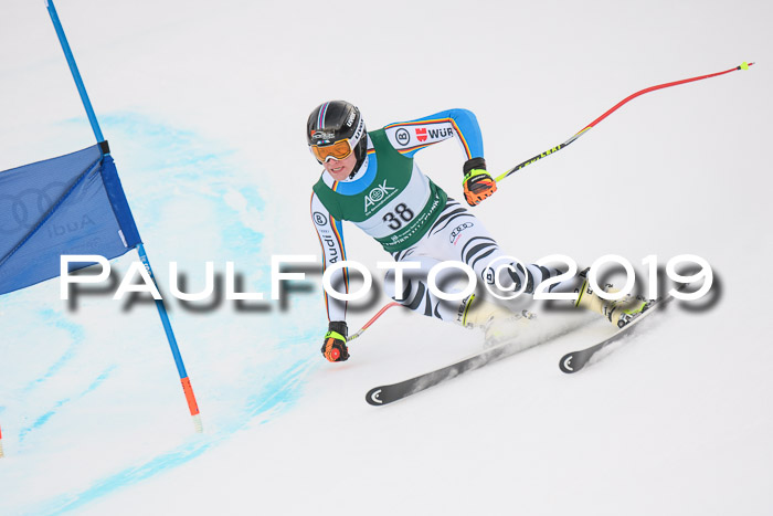 NJC + FIS, Super-G, Herren, 06.02.2019