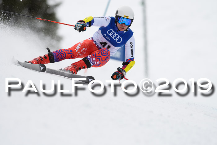 FIS Riesenslalom, Herren, Bay. Jugend, Oberjoch, 09.02.2018