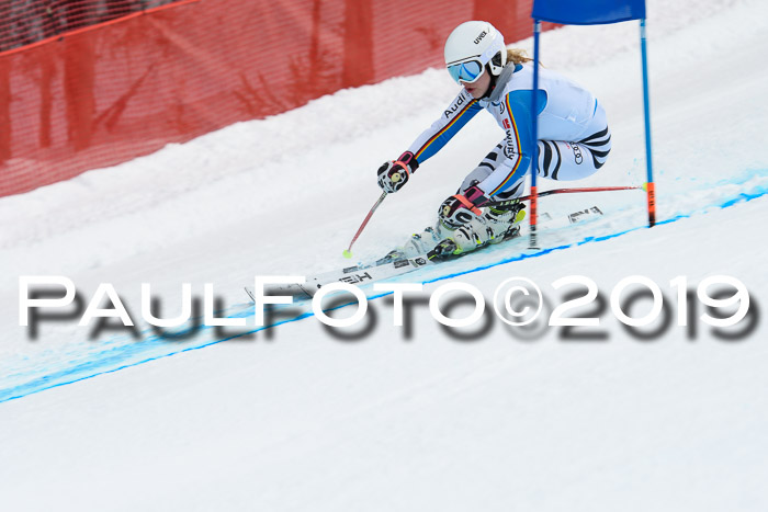 5. BZB CUP RS, + Werdenfelser Meisterschaft + U18, 10.02.2019