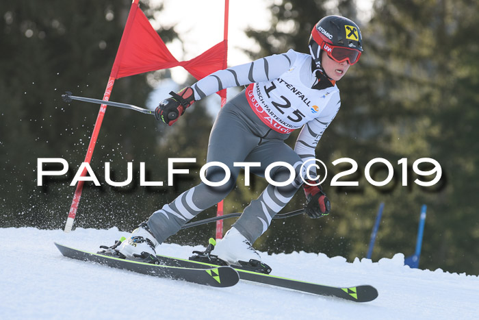 Schongauer Zwergerlrennen 2019