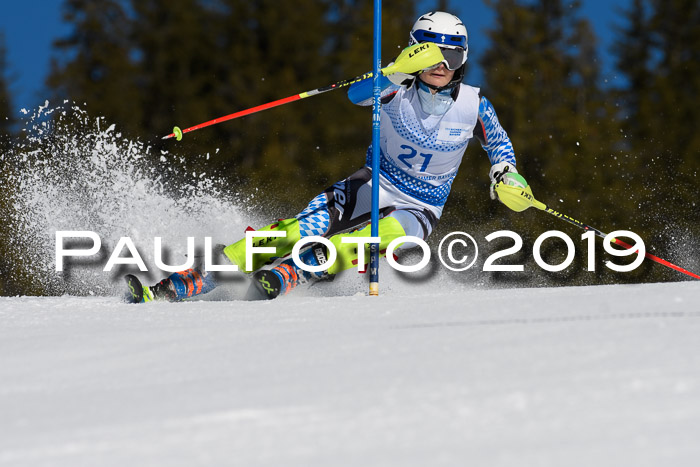 SVM U14/U16 Slalom 17.02.2019