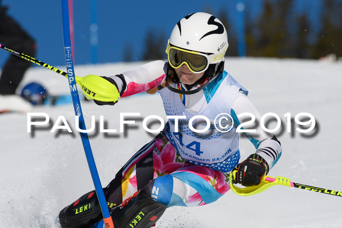 SVM U14/U16 Slalom 17.02.2019