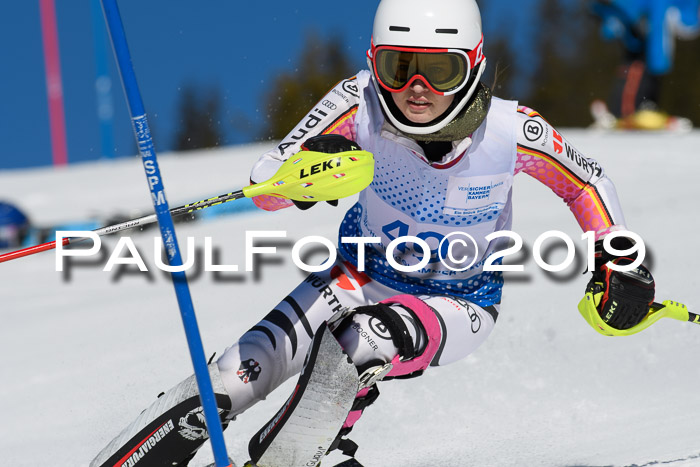 SVM U14/U16 Slalom 17.02.2019