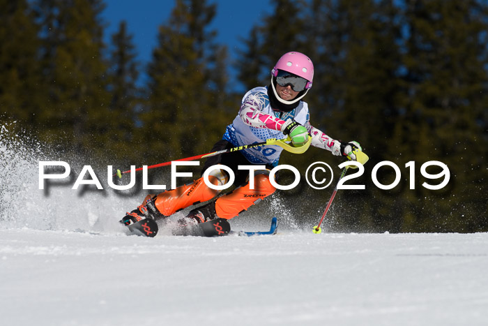 SVM U14/U16 Slalom 17.02.2019