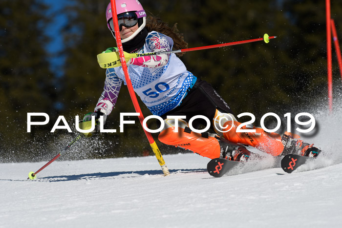 SVM U14/U16 Slalom 17.02.2019