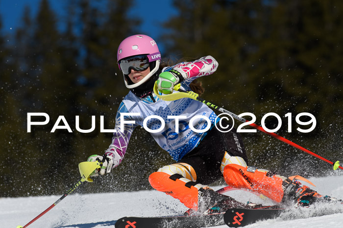 SVM U14/U16 Slalom 17.02.2019