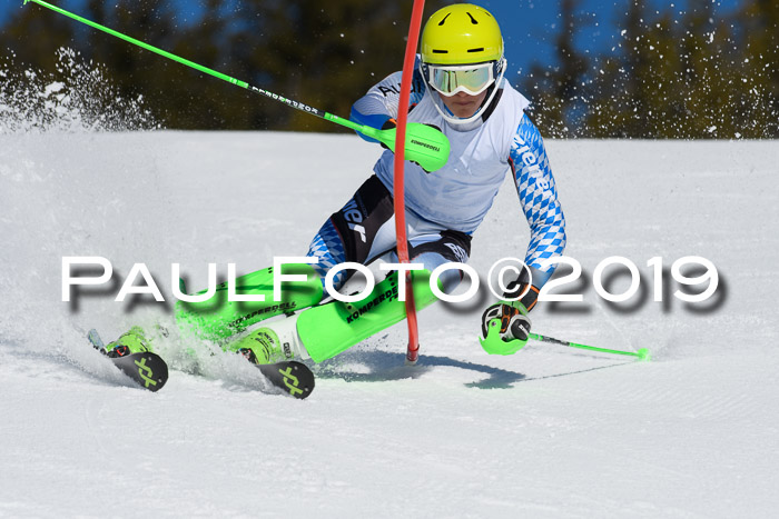 SVM U14/U16 Slalom 17.02.2019