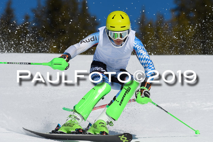 SVM U14/U16 Slalom 17.02.2019