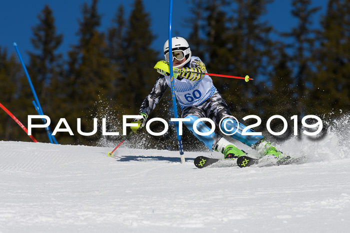 SVM U14/U16 Slalom 17.02.2019