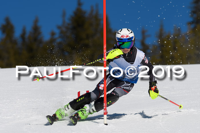 SVM U14/U16 Slalom 17.02.2019