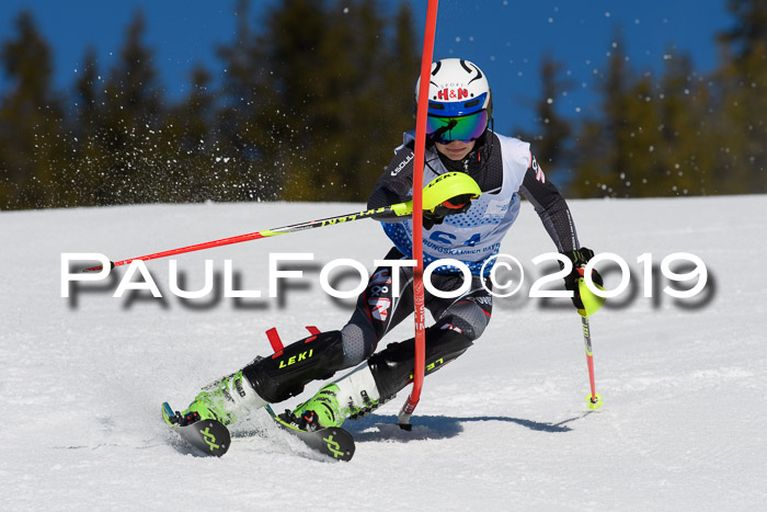 SVM U14/U16 Slalom 17.02.2019