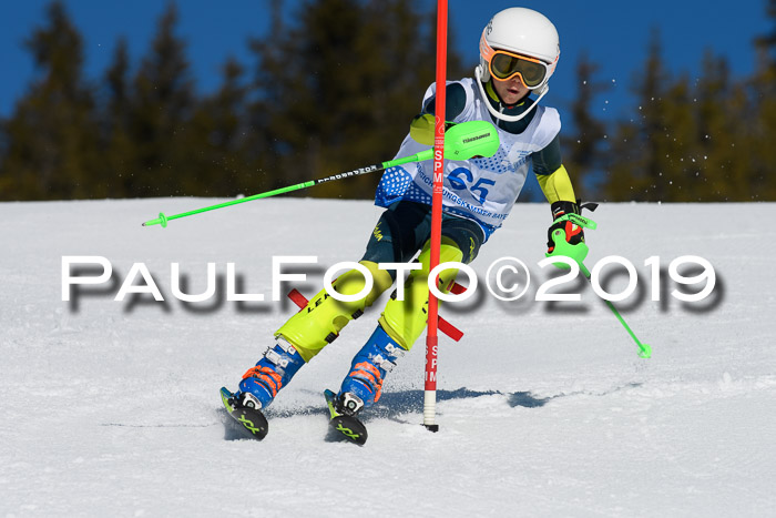 SVM U14/U16 Slalom 17.02.2019