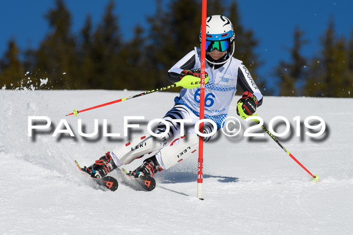 SVM U14/U16 Slalom 17.02.2019