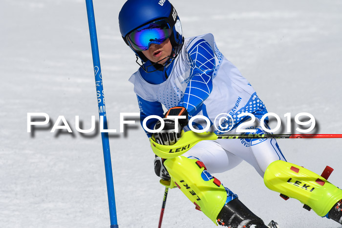 SVM U14/U16 Slalom 17.02.2019