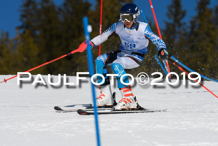 SVM U14/U16 Slalom 17.02.2019