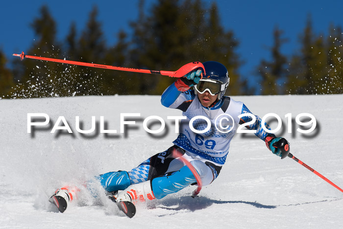 SVM U14/U16 Slalom 17.02.2019