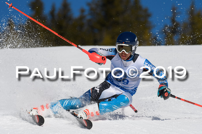 SVM U14/U16 Slalom 17.02.2019