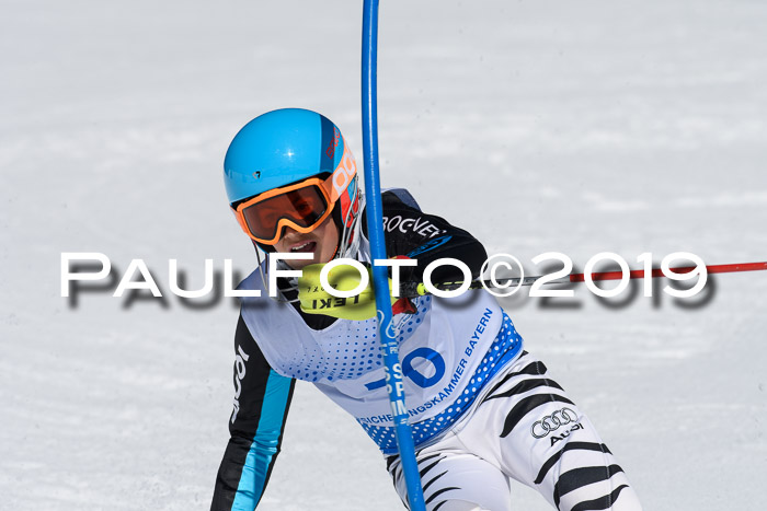 SVM U14/U16 Slalom 17.02.2019