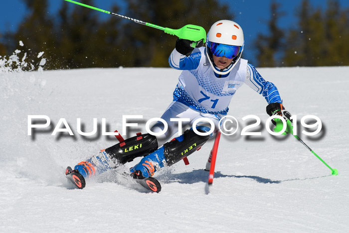 SVM U14/U16 Slalom 17.02.2019